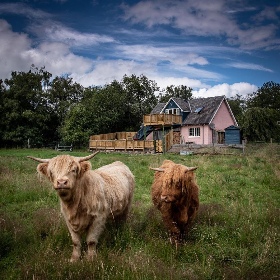 Tanar View Leilighet Aboyne Eksteriør bilde