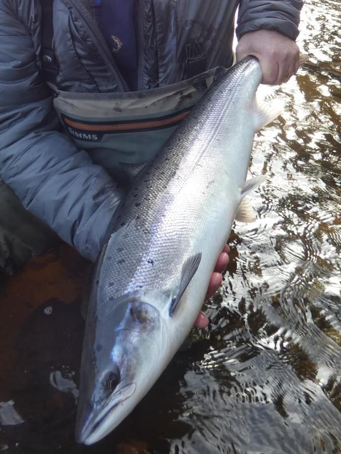 Tanar View Leilighet Aboyne Eksteriør bilde