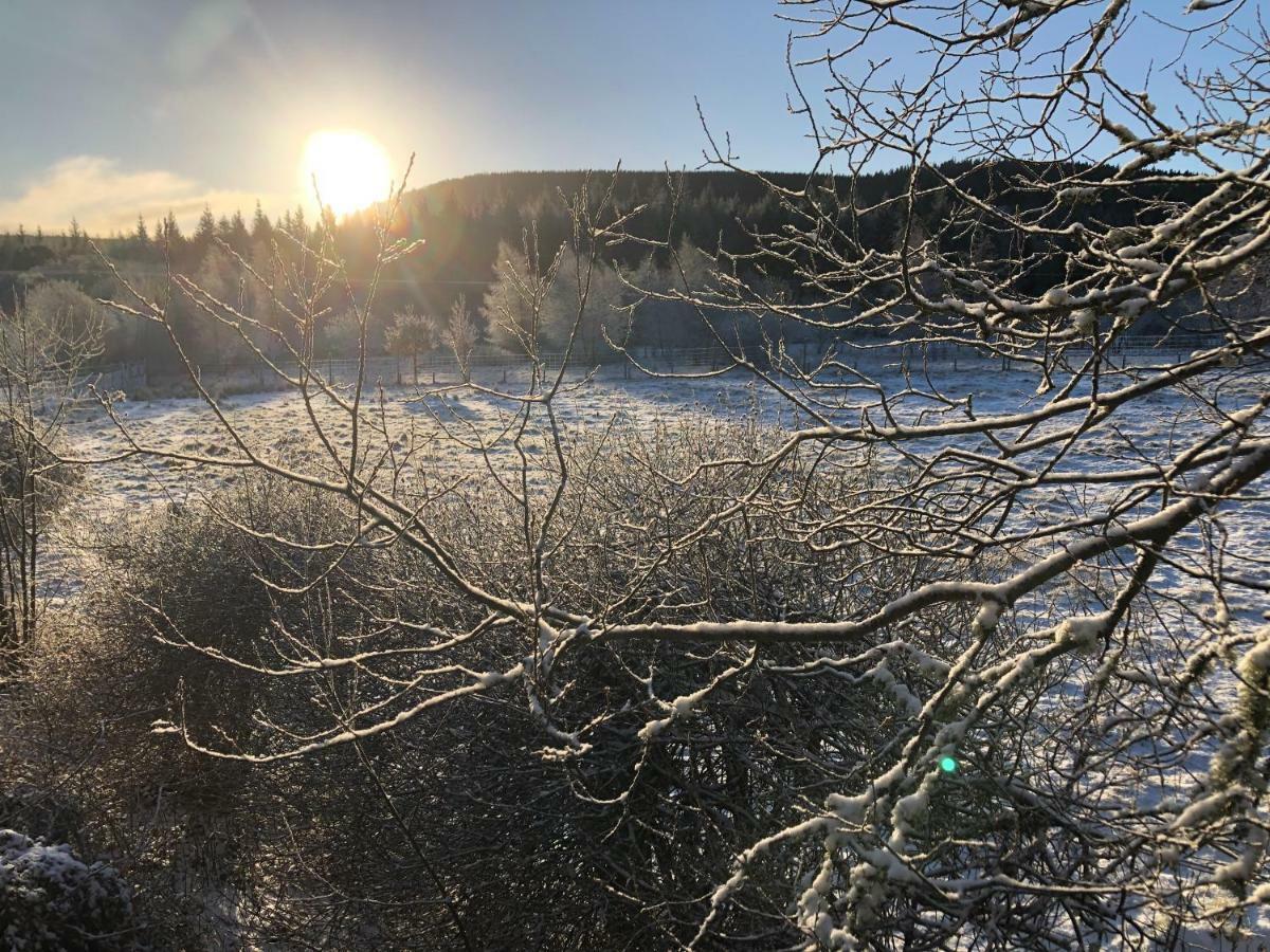 Tanar View Leilighet Aboyne Eksteriør bilde